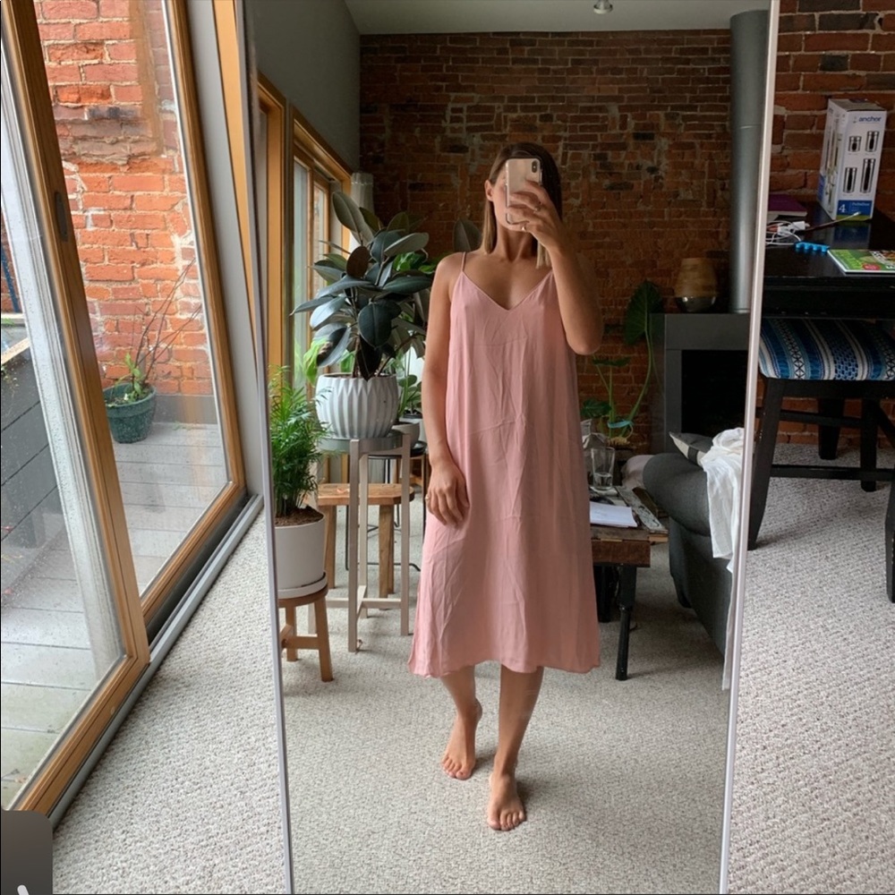 Aritzia Blush Midi Dress